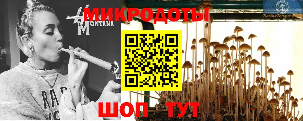 Галлюциногенные грибы MAGIC MUSHROOMS  как найти закладки  Галлюциногенные грибы GOLDEN TEACHER  Отрадный  Вход с VPN 